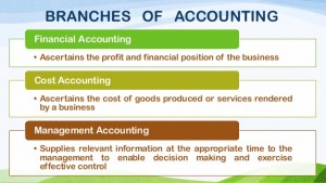 branches of Accounting