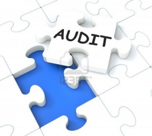 Audit and Auditing