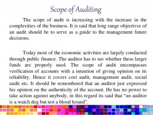 Audit Scope