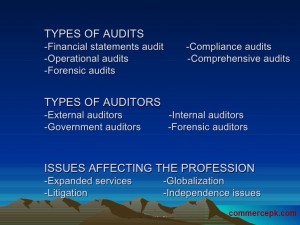 types of audit
