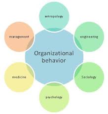 definition for organisational behaviour