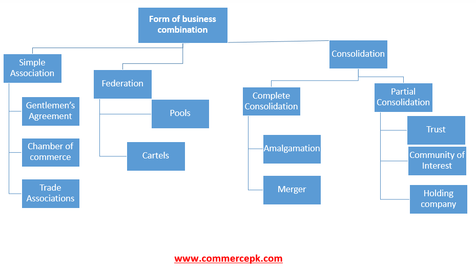 forms of business combinations